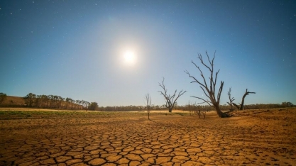 Clima faz Brasil perder 41 milhões de toneladas de grãos em dois anos