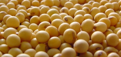 China pode cortar demanda por soja em 30 milhões de toneladas, diz Xinhua