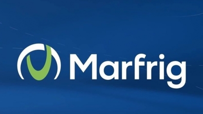 Empréstimo à Marfrig é cancelado após protestos por desmatamento