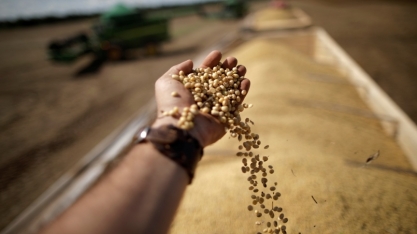 Safra 2022 será de 271,9 milhões de toneladas, + 7,4% ante 2021