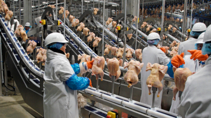 Frango/EUA: Executivos vão para 2º julgamento em caso de fixação de preços