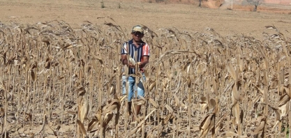 Com seca, produtores do Sul não cobrem custos de produção