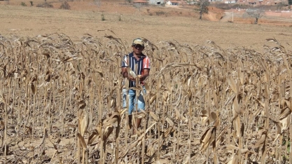 Com seca, produtores do Sul não cobrem custos de produção