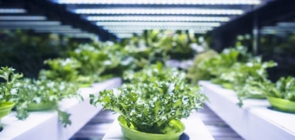 Produção de alimentos: 2 grandes tendências que vão ditar o futuro do campo