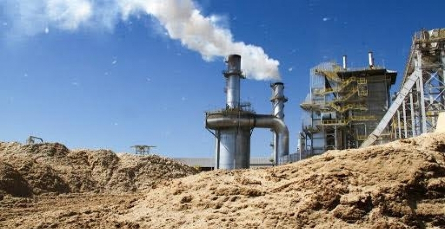 79% da bioeletricidade para a rede em 2021 veio da cana-de-açúcar