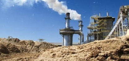 79% da bioeletricidade para a rede em 2021 veio da cana-de-açúcar