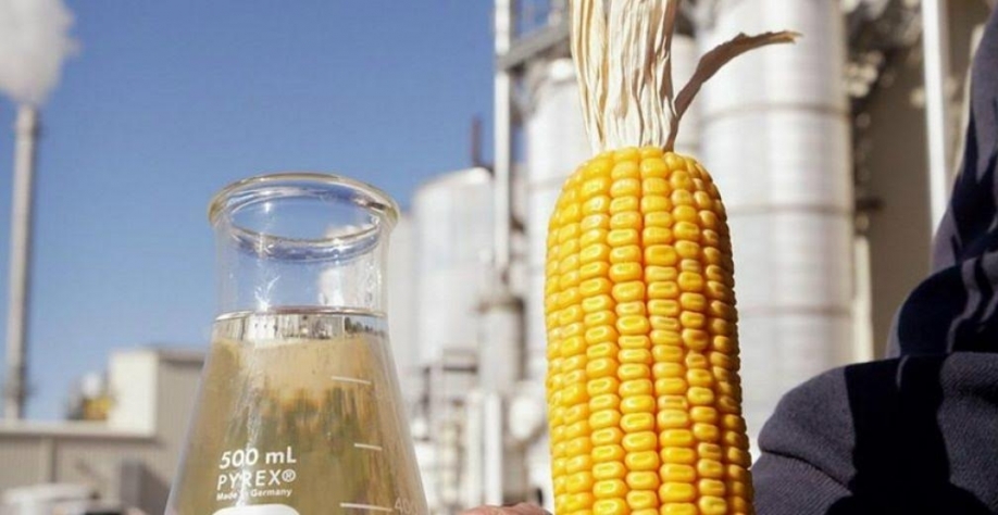 Programa de etanol da Índia terá maior contribuição de grãos, diz USDA