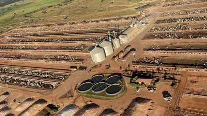 Por que a Conforto, com 130 mil bois, montou um RH