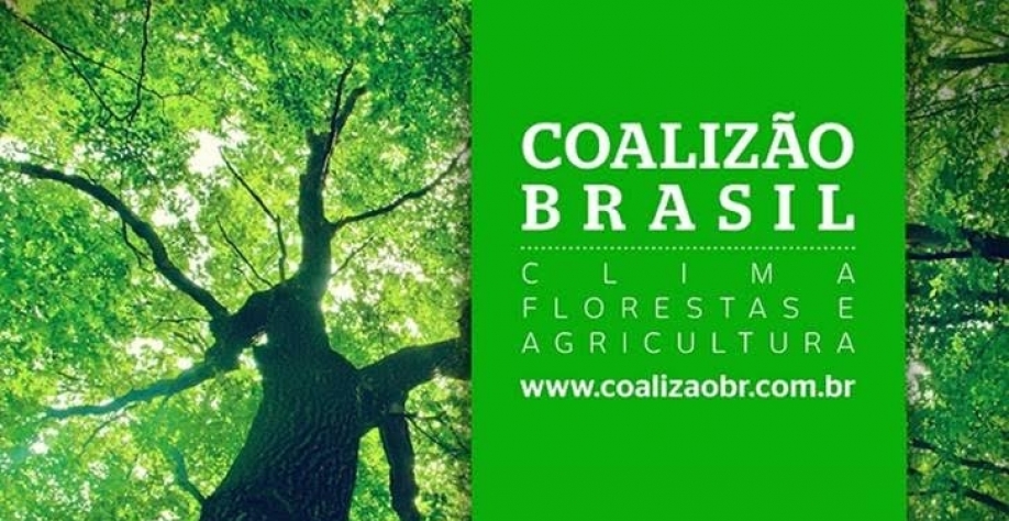 Coalização Brasil pede suspensão de recursos para desmatadores
