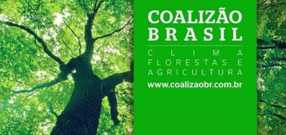Coalização Brasil pede suspensão de recursos para desmatadores