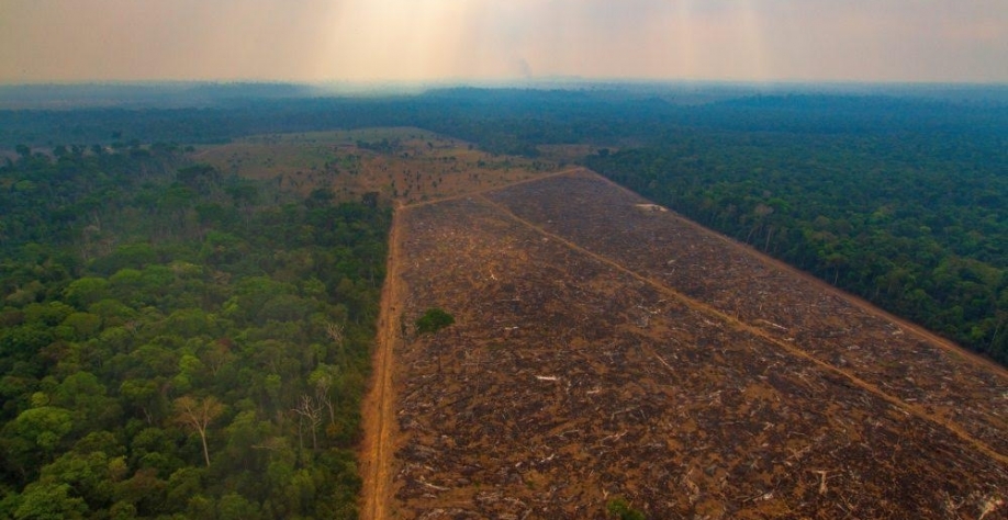 Legenda: Área desmatada ilegalmente na Floresta Amazônica. Foto: Marcio Isensee/Shutterstock.com