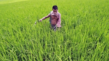 Índia negocia acordo de importação de fertilizantes com Rússia