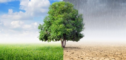 Só 41% de verbas para fiscalização ambiental foram usados em 2021