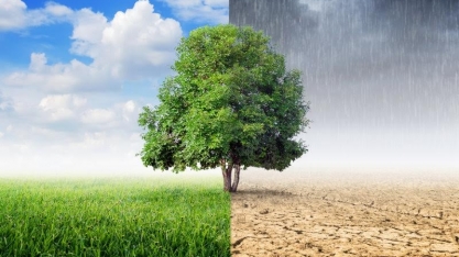 Só 41% de verbas para fiscalização ambiental foram usados em 2021