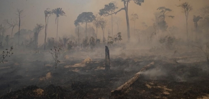 Desmatamento na Amazônia brasileira bate recorde em janeiro