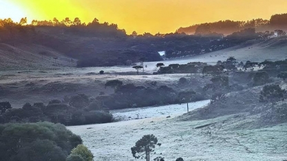Região Sul registra geada em pleno mês de fevereiro