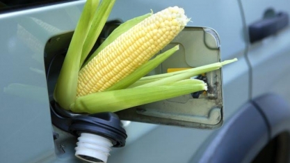 Tiro pela culatra: etanol polui mais do que gasolina?
