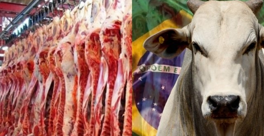 Exportação de carne bovina salta em janeiro com retomada da China 