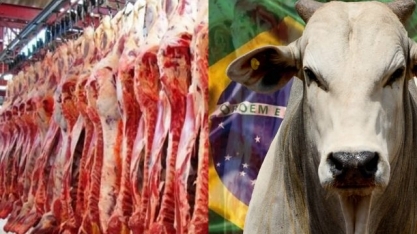 Exportação de carne bovina salta em janeiro com retomada da China 