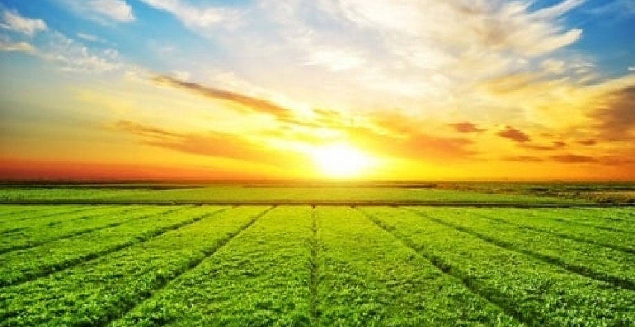 Peso do Brasil no agro mundial crescerá na década, estimam EUA 