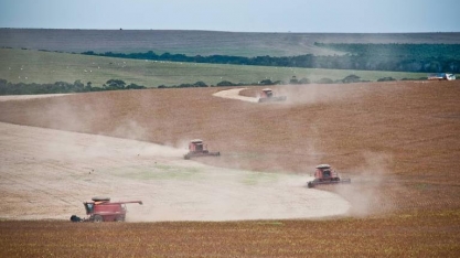 Mais de 90% do desmate em fazendas de soja é ilegal em Mato Grosso