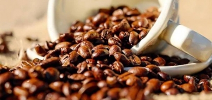 Café: Receita com exportação em fev. soma US$ 782,6 mi, + 50% ante fev./21