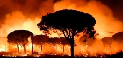 Brasil recebe apoio de 63 países para criar novo fundo ambiental