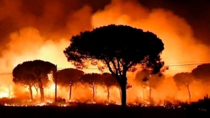 Brasil recebe apoio de 63 países para criar novo fundo ambiental