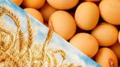 Queda do dólar alivia produtos agrícolas após um mês de guerra na Ucrânia
