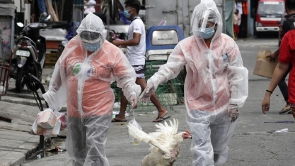 Influenza Aviária/EUA: Vírus é encontrado em Kansas, Illinois e Wisconsin