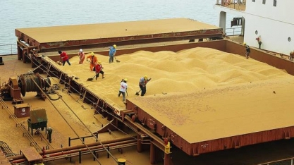 Anec vê queda na exportação de soja do Brasil em março ante 2021