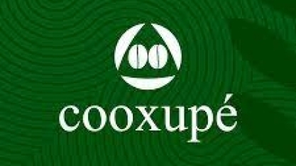 Cooxupé manteve fortes embarques de café em 2021, apesar de quebra de safra