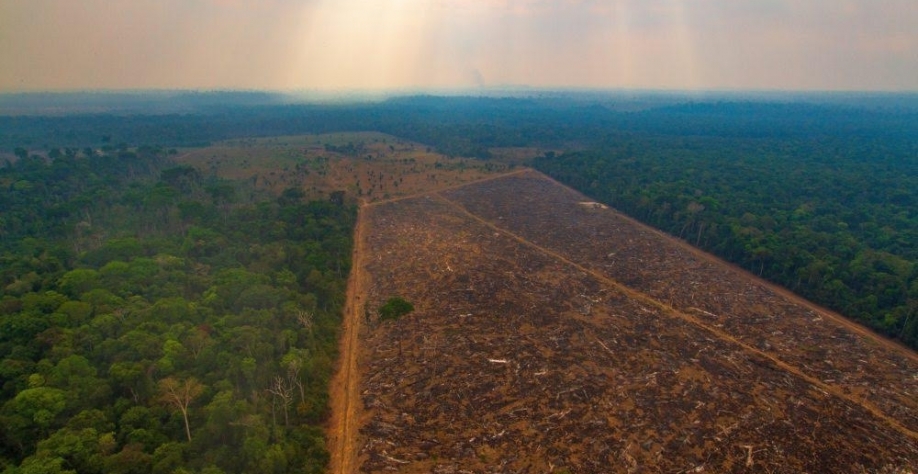 Amazônia tem recorde de alerta de desmate pelo 2º mês seguido