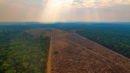 Amazônia tem recorde de alerta de desmate pelo 2º mês seguido