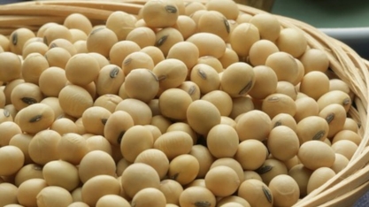 China compra soja dos EUA no pico da temporada de exportação do Brasil