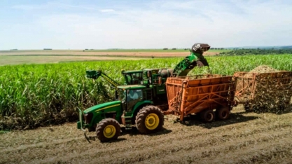 Cana: Técnicos realizarão levantamento em 10 Estados a partir desta 2ª