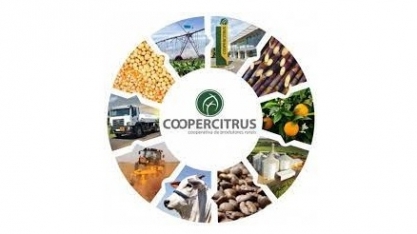 Coopercitrus: Faturamento recorde de R$ 8 bi em 2021, 35% maior ante 2020 