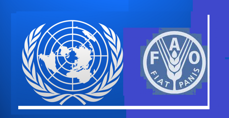 Índice de preços de alimentos sobe 3,9% em fevereiro e atinge recorde