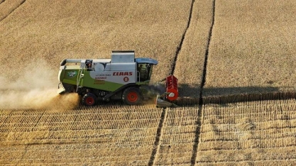 Tradicional importador, Brasil bate recorde nas exportações de trigo
