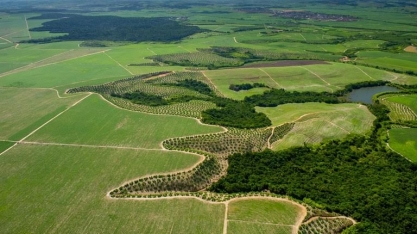 MAPA lança plano para regularização ambiental de imóveis rurais