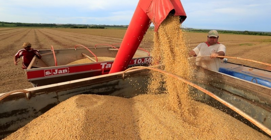 Ipea revisa para baixo previsão do PIB do agro por quebra na soja