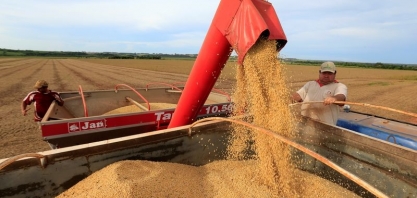 Ipea revisa para baixo previsão do PIB do agro por quebra na soja