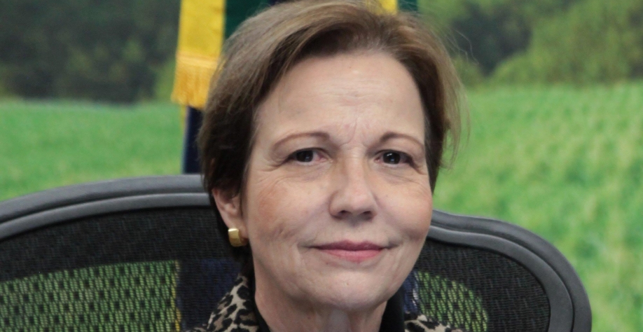 “Estamos quase batendo nos 200 mercados abertos no exterior”