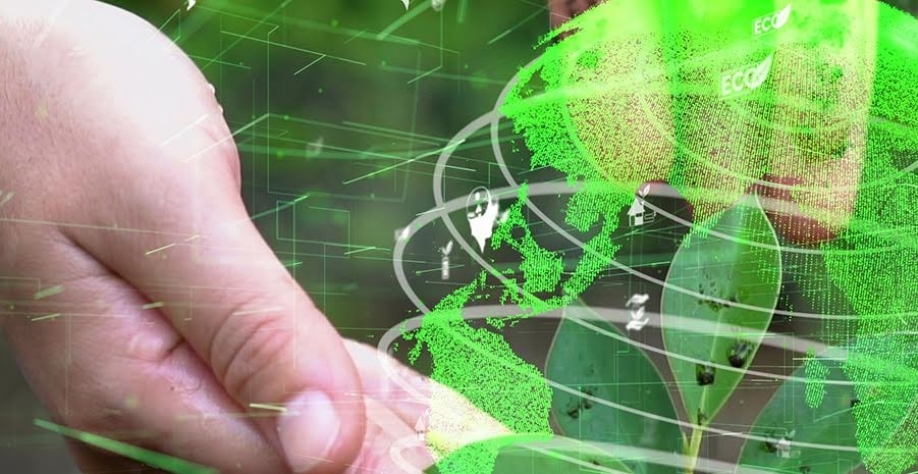 Empresas ignoram desmatamento em metas ambientais; veja mais sobre ESG