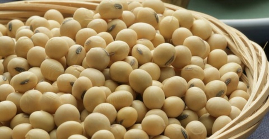 Exportações do agro ultrapassam US$ 10 bi em fevereiro, recorde para o mês