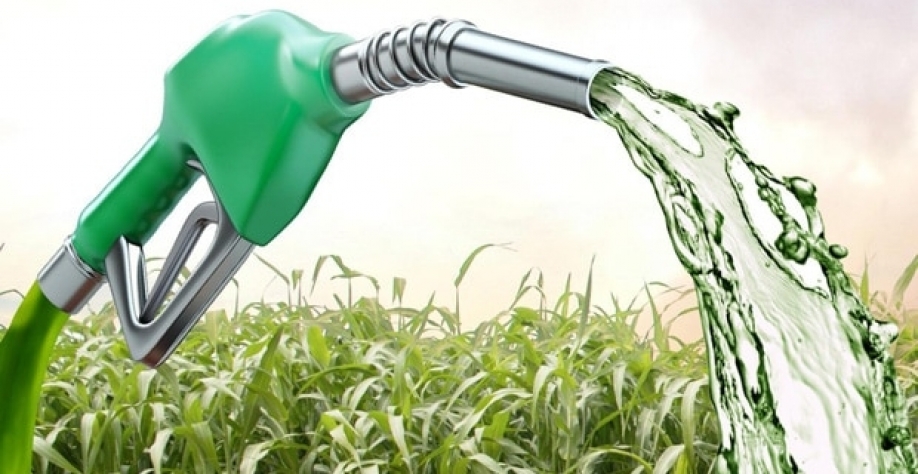 Etanol: Agromensal Fevereiro 2022 – Análise Conjuntural Cepea/Esalq USP