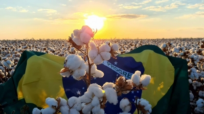 Algodão: Agromensal Fevereiro 2022 – Análise Conjuntural Cepea/Esalq USP