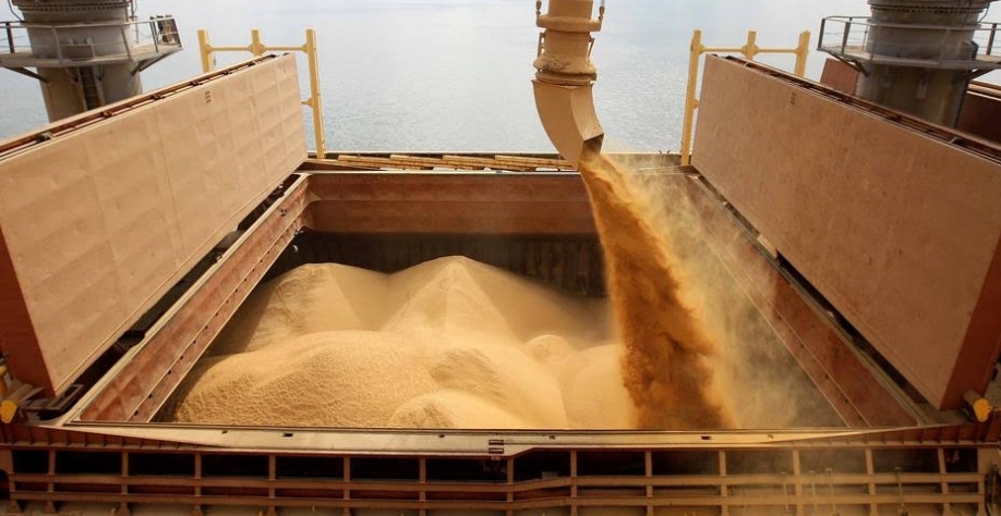 Brasil já vendeu 46% da safra de soja 2021/22 e 5% do novo ciclo 