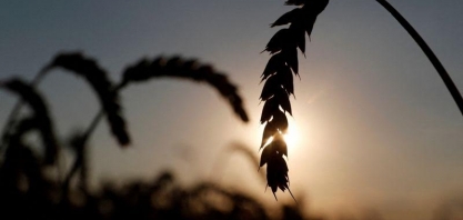 Situação das exportações de grãos da Ucrânia piora a cada dia, diz ministro