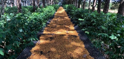 O que significa tornar a produção de alimentos mais sustentável?
